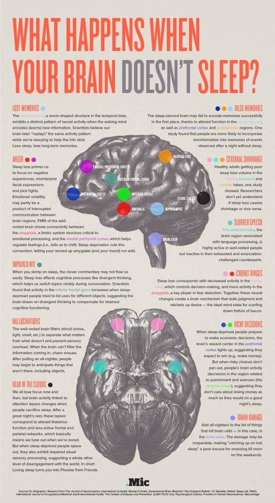 Graphic Explains How Lack of Sleep Can Negatively Affect Your Brain