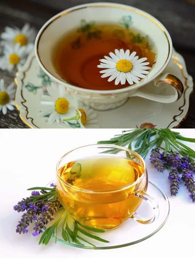 chamomile and lavender tea