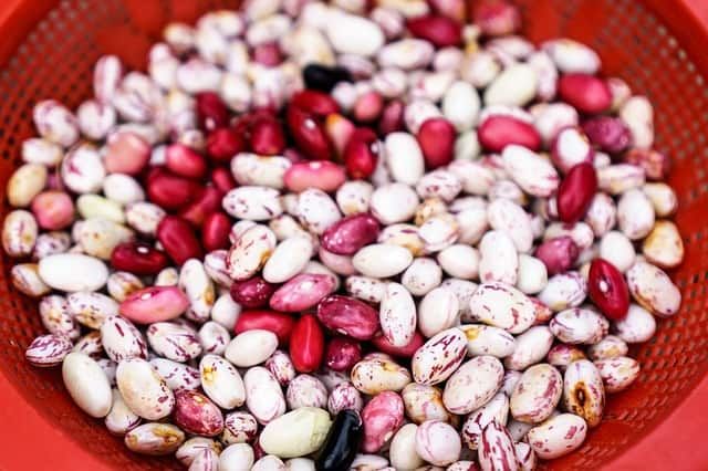 beans the wonderful fruit