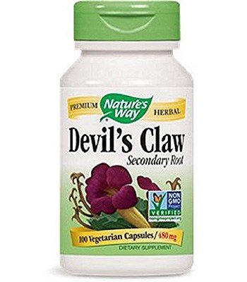 Devil’s Claw fruit