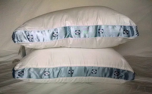 sealy pillows