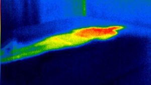 Thermal imaging from the nectar mattress with a body (head is concentrated in the torso).
