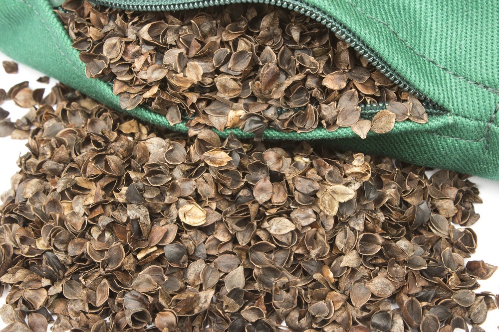 buckwheat cons