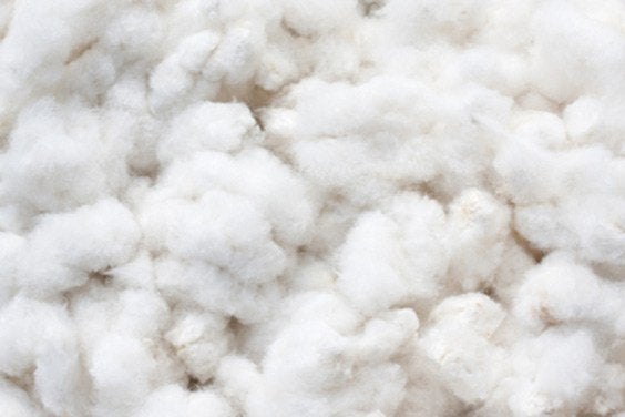 Everything You Need To Know About Supima Cotton