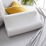 sleep-innovations-contour-memory-foam-standard-size-pillow