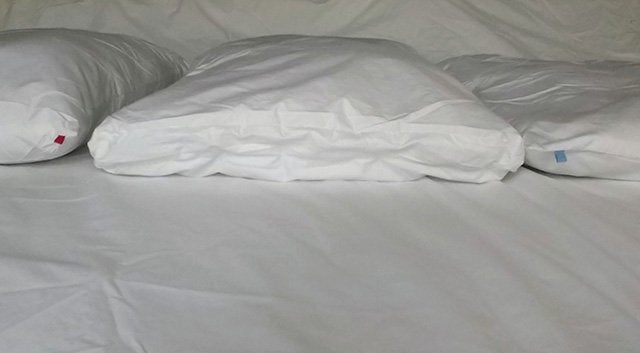 sleepgram pillow