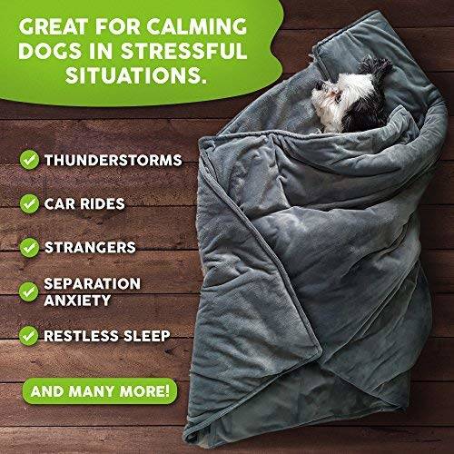 Weighted Blankets for Dogs - The Sleep Judge