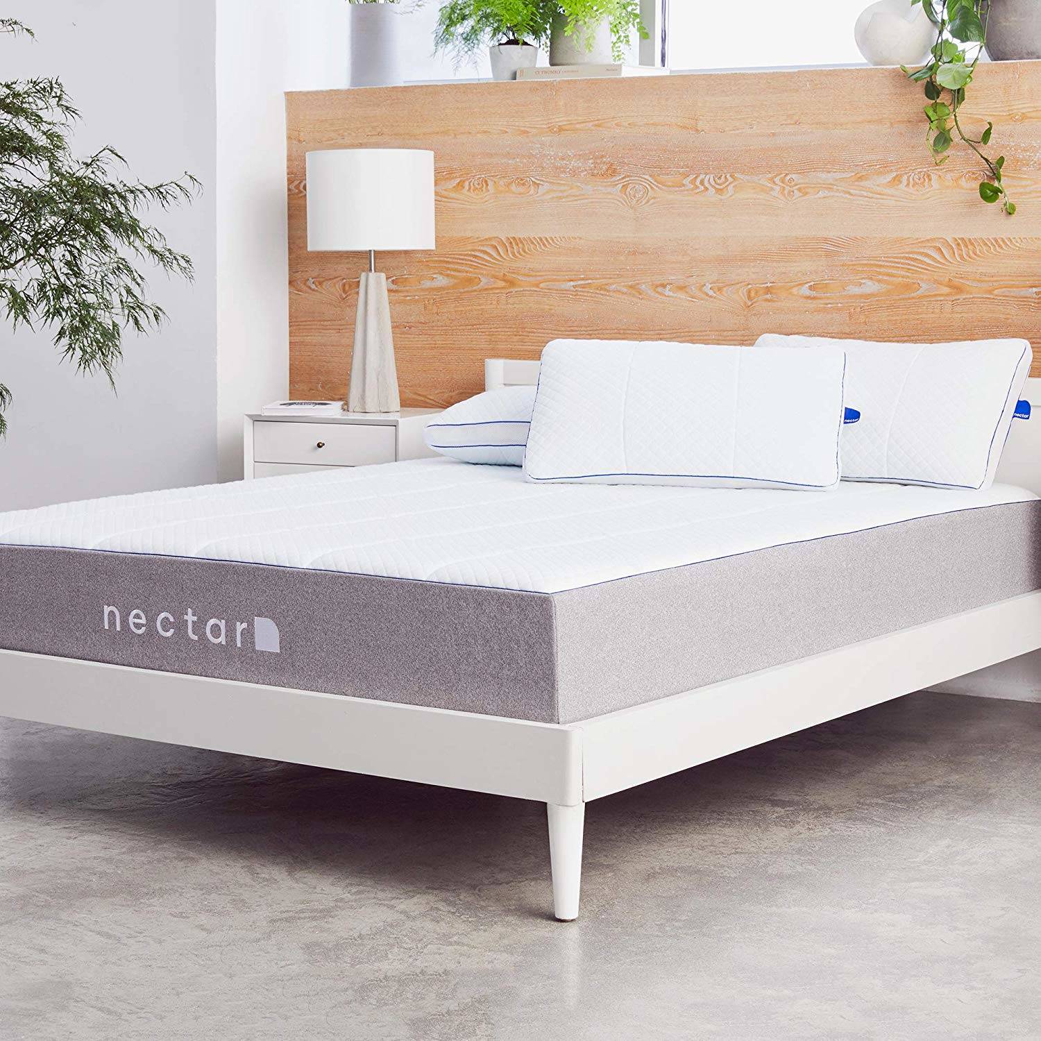 Best Mattress for the Money 2024 Guides and Reviews The Sleep Judge