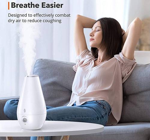 Best Humidifiers Reviews 2021 The Sleep Judge