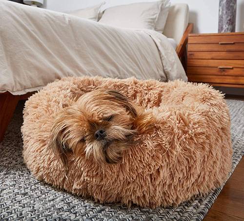 We have compiled a list of the six best dog donut beds that you can buy online. Read on to find the one that best suits your needs.