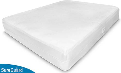 best dust mite mattress encasement with lifetime warranty