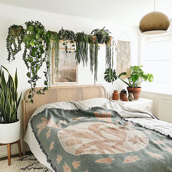40 Bedroom Plant Ideas to Bring Life to Your Space - The Sleep Judge